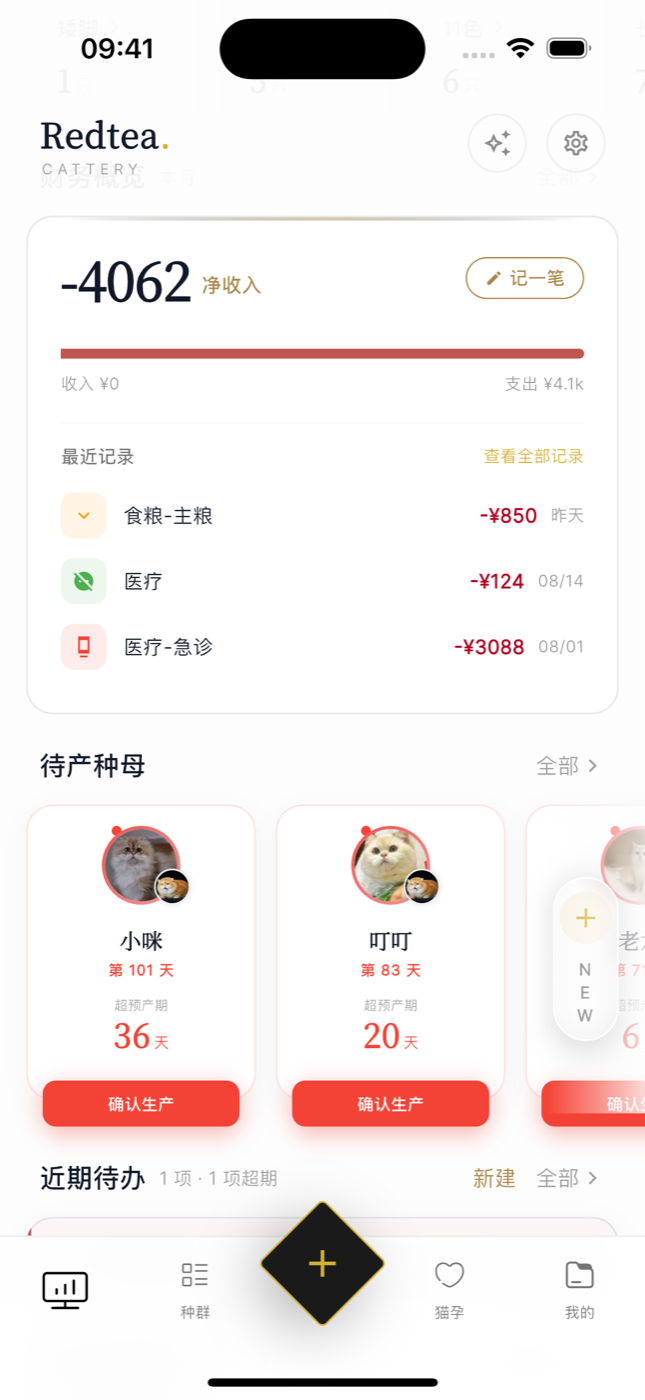App 首页财务概览模块截图:本月净收入、收支进度条、最近三笔记录与记一笔按钮