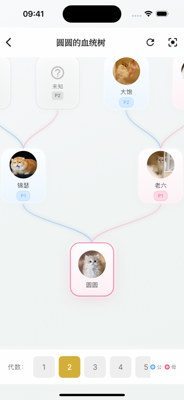 宠舍管家血统树页面截图:当前猫高亮,父母及祖代按公母蓝粉连线,底部可切换展示代数