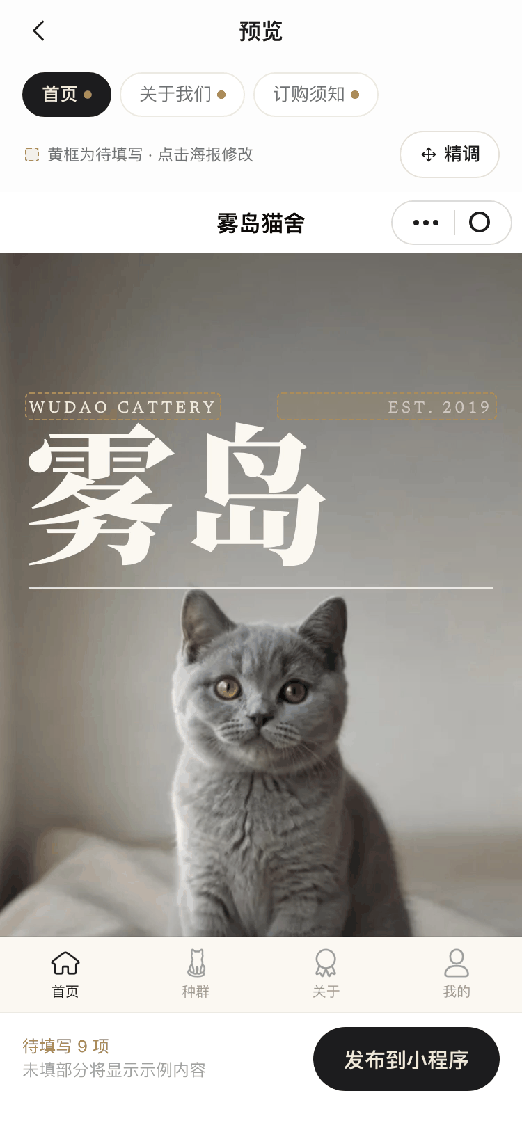 预览页截图:按小程序样子显示首页海报和底部导航,底部写着待填写几项与发布到小程序按钮