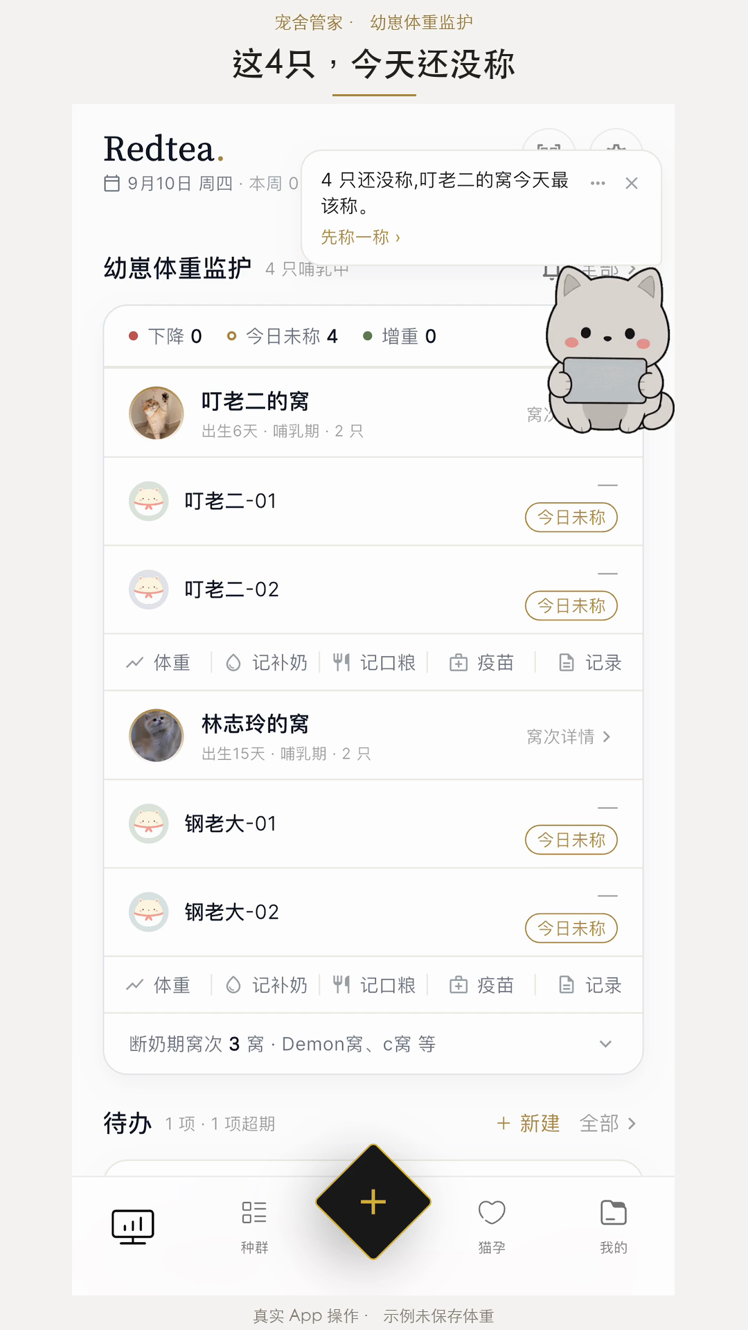 Real FanMeowy demo showing missing weight entries and the Xiaofan action; interface in Simplified Chinese